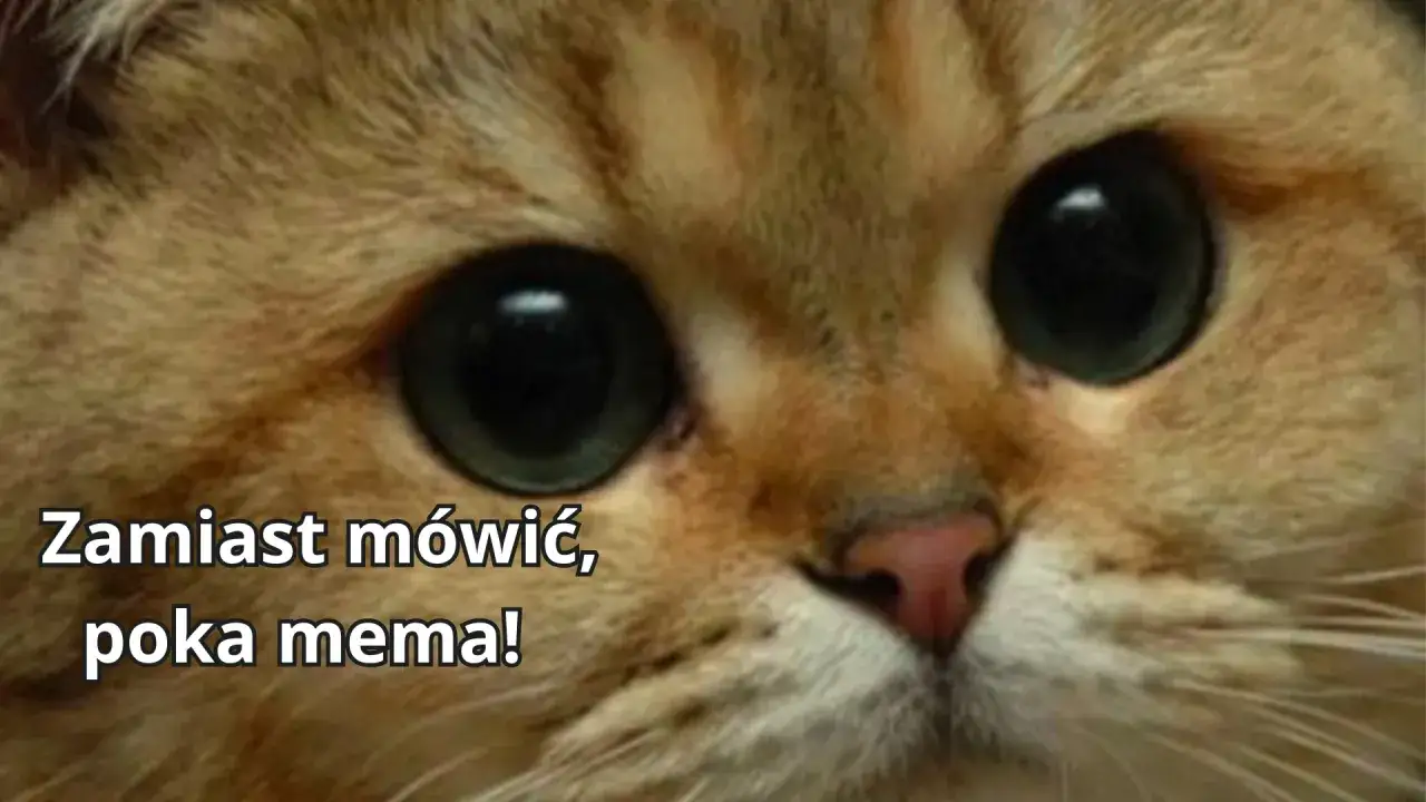 Co to jest mem? Zrozumienie memów w kulturze internetowej