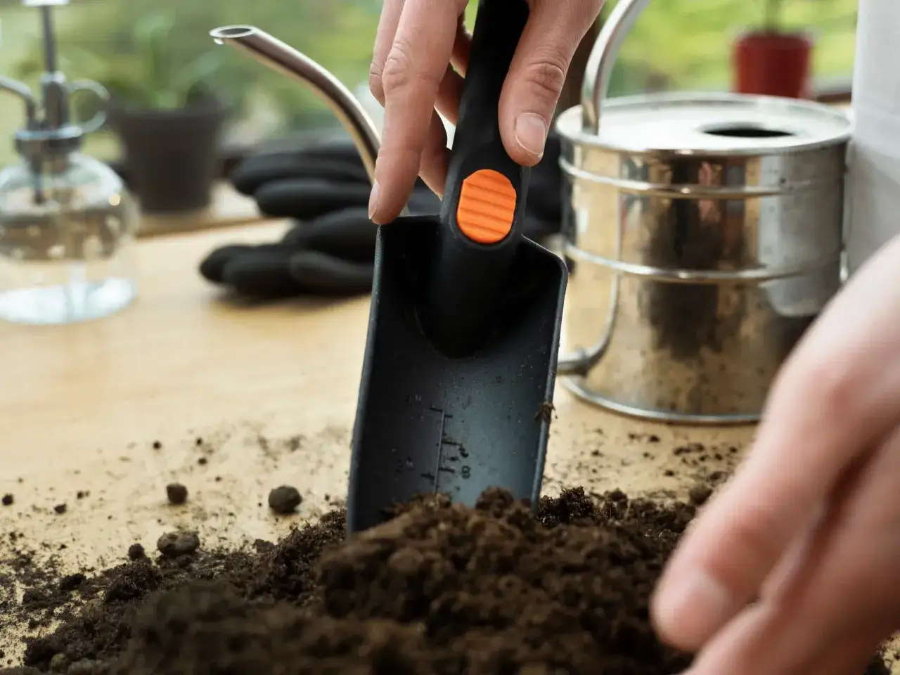 Jak sprawdzić pH gleby? Klucz do zdrowych roślin w ogrodzie.