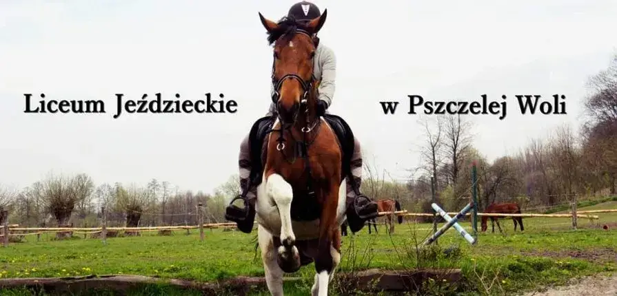Pszczela Wola liceum jeździeckie - co musisz wiedzieć przed wyborem?
