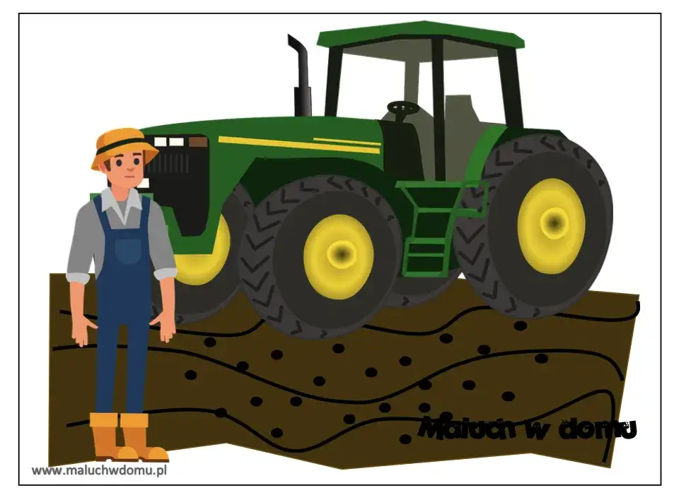 Jak powstaje chleb? Poznaj kluczowe etapy i składniki