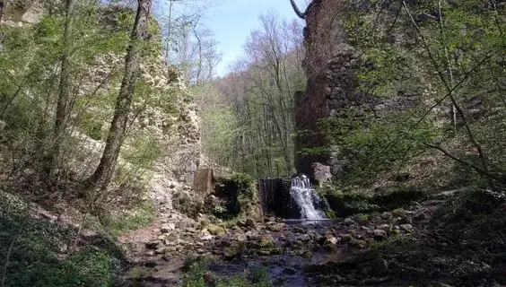 Czerna atrakcje: Odkryj ukryte skarby i piękno tej malowniczej wsi
