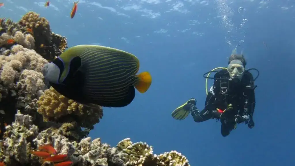 Jak nauczyć się pływać pod wodą i pokonać strach przed nurkowaniem