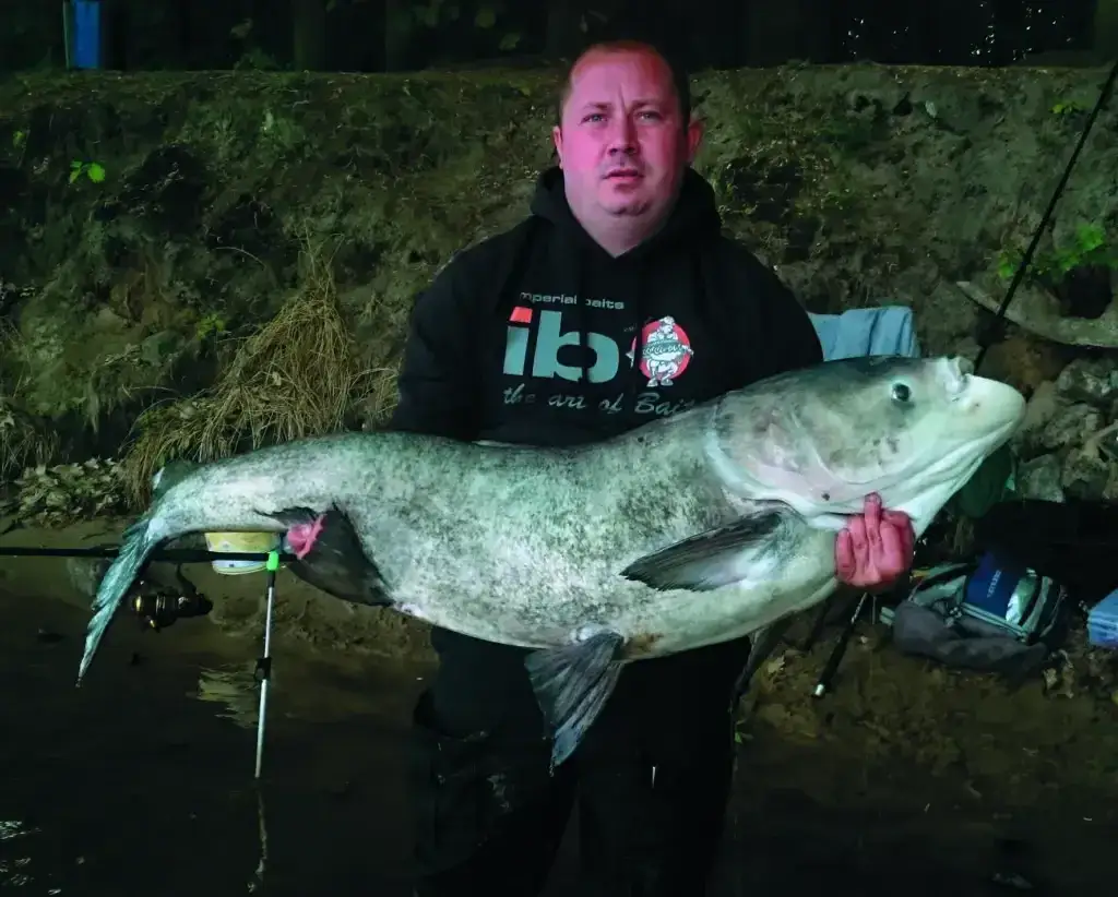 Czym się żywi tołpyga? Odkryj jej zaskakującą dietę w różnych wodach