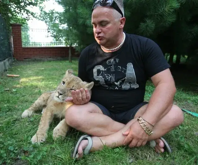 Leszek Bielenda: poznaj niezwykłą historię człowieka, który oswoił lwa