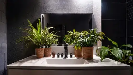 Jakie kwiaty do łazienki? Wybierz idealne, nawet bez okna!