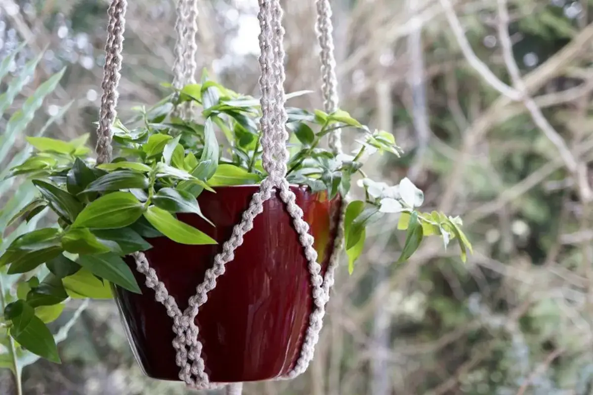 Makrama kwietnik kokon: zrób to sam! Poradnik dla początkujących