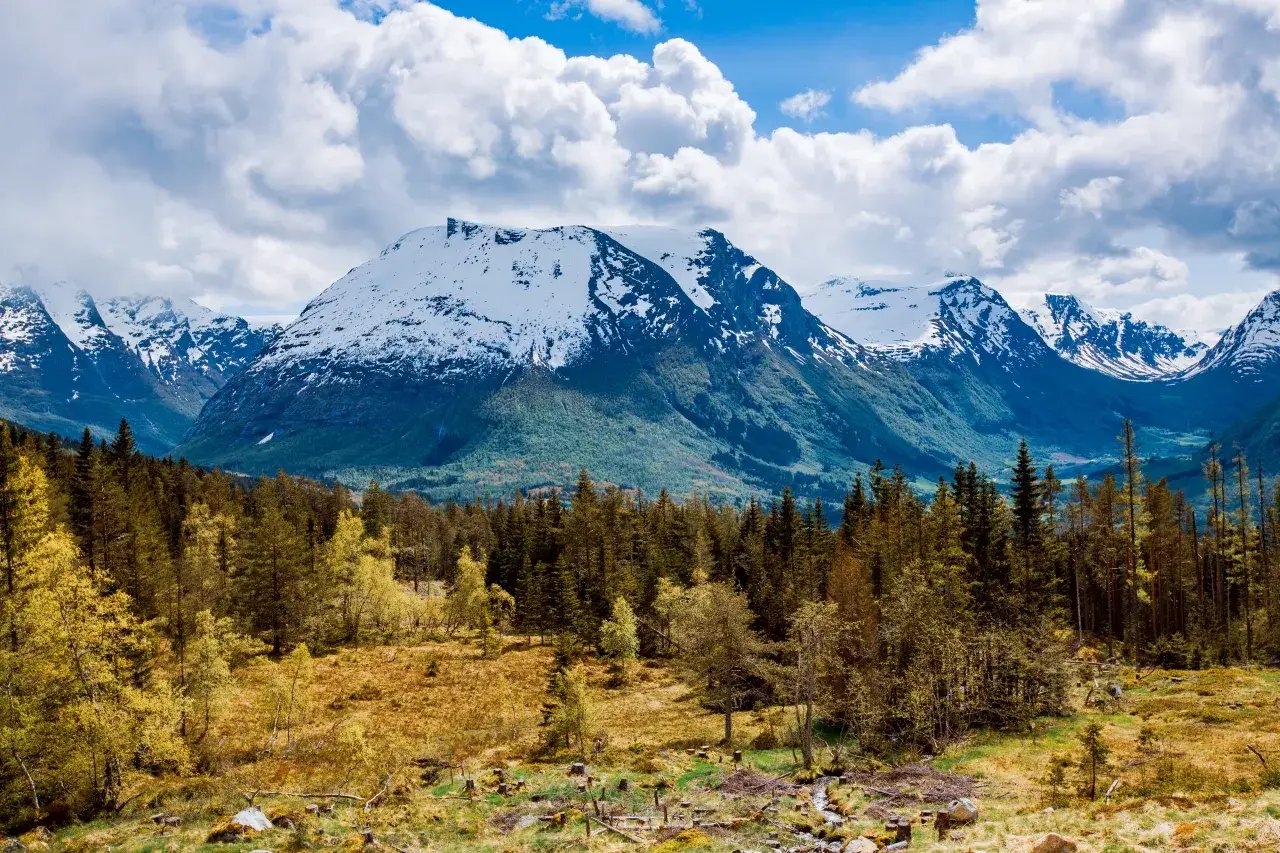 Jaki jest klimat w Norwegii? Odkryj zaskakujące różnice regionalne