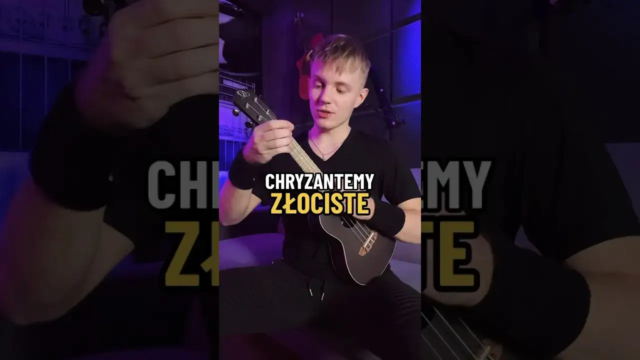 Chryzantemy złociste chwyty gitarowe - zagraj je bez błędów