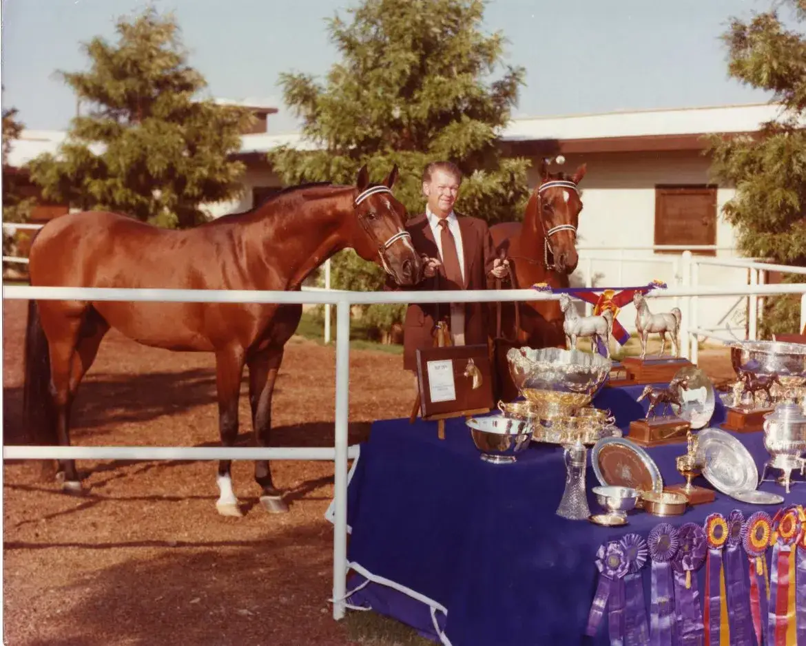 Stadnina koni Polska: Historia, osiągnięcia i tajemnice Michałowa