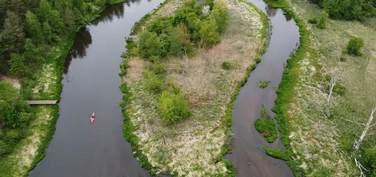 Załęcze Wielkie: Odkryj Jurę Wieluńską bez tłumów! Co zobaczyć?
