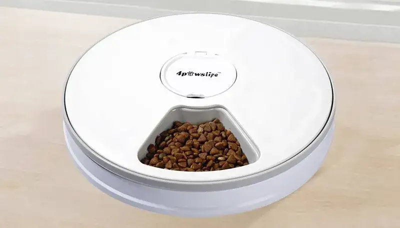 Jak zrobić dozownik suchej karmy dla psa - proste i zaawansowane pomysły