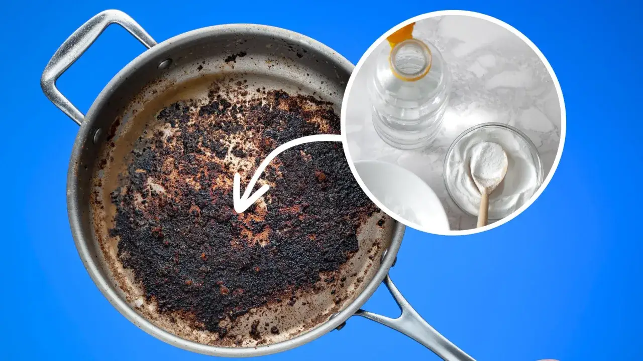 Przypalony spód ciasta? Uratuj go bez śladu! Porady ekspertki