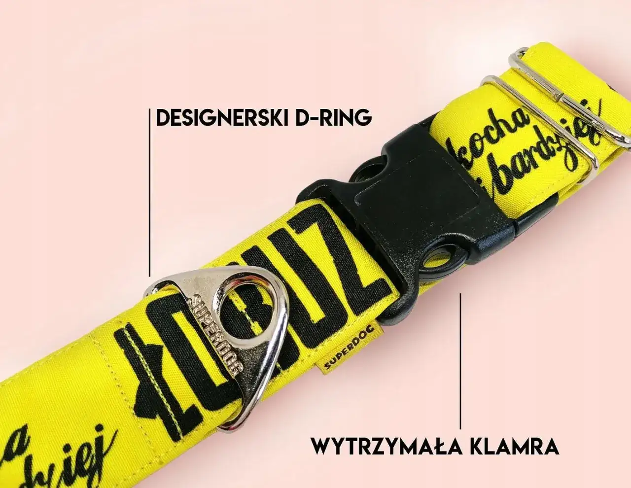 Najlepsza obroża dla amstaffa – uniknij błędów przy wyborze