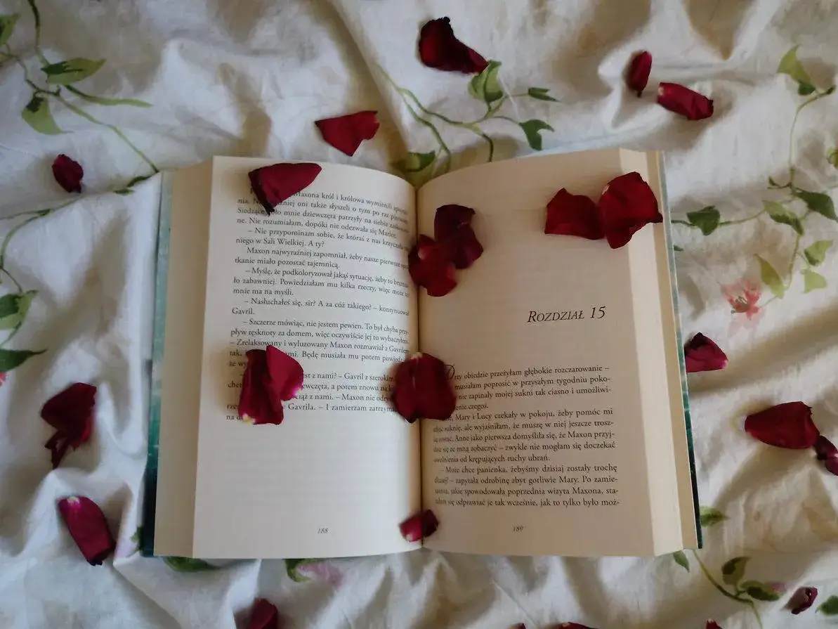 Recenzja książki Rywalki: Czy warto sięgnąć po tę powieść?