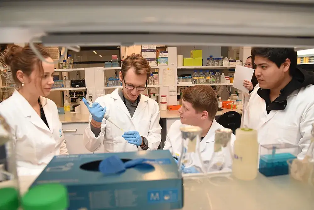 Chemia medyczna co po tym: jakie masz możliwości kariery i edukacji