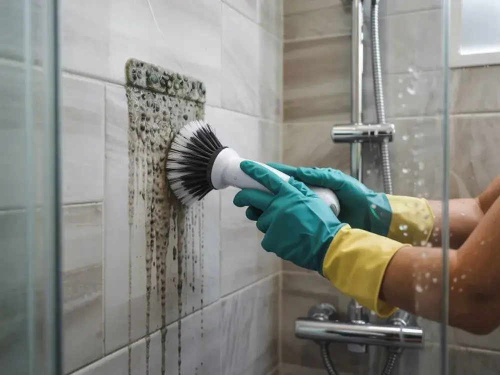 Jak skutecznie usunąć grzyba z łazienki - 5 sprawdzonych metod