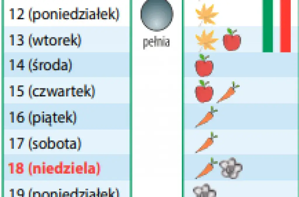 Kiedy siać marchew? Kalendarz siewu i triki na obfity plon!