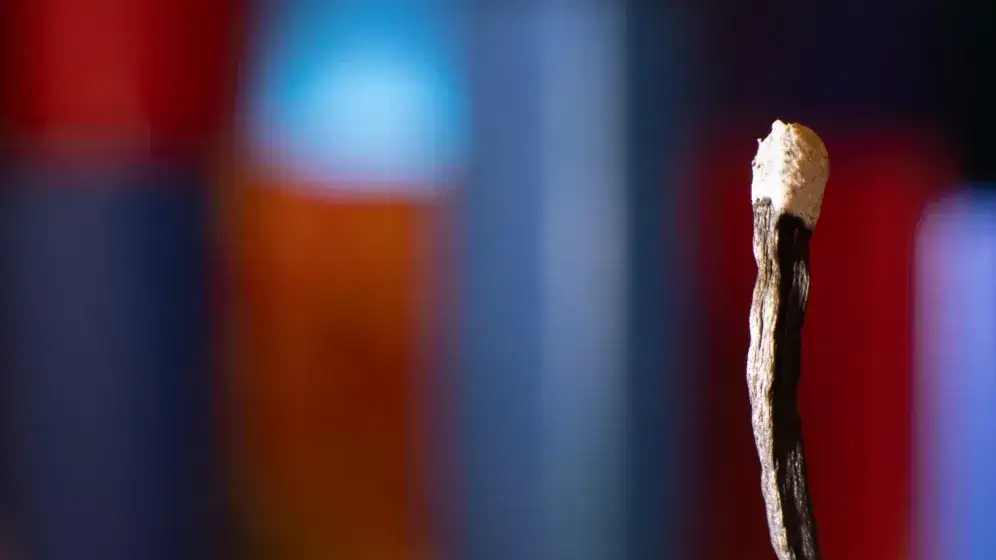 Jak żyć po śmierci dorosłego dziecka i znaleźć sens w bólu