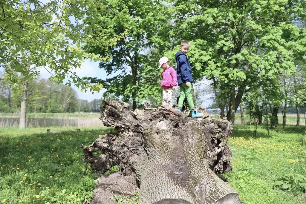 Siedlce atrakcje na weekend: idealne miejsca na relaks i zabawę