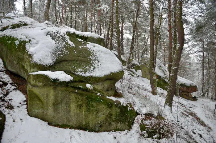 Rezerwat przyrody w Polsce opis – tajemnice i unikalne cechy natury