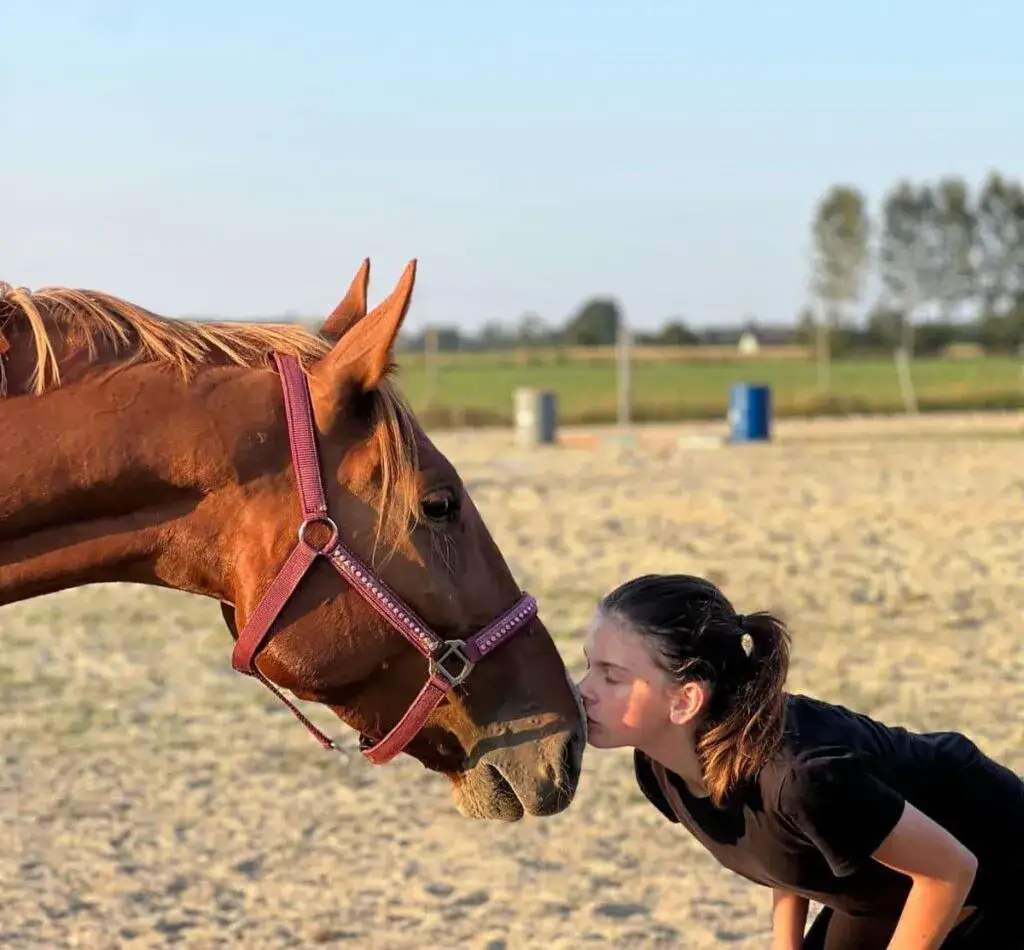 Praca jako instruktor jeździectwa: wymagania, obowiązki i zarobki