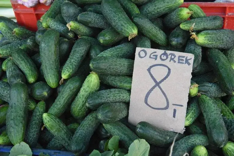 Ile kalorii mają ogórki? Zaskakujące różnice między rodzajami