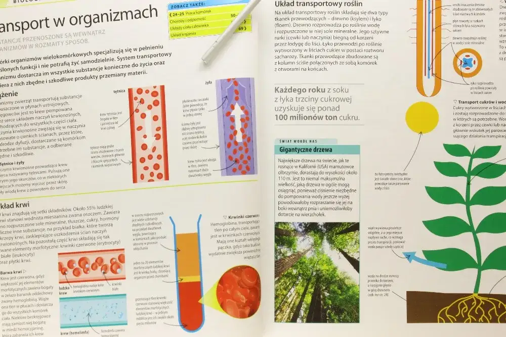 Biologia chemia fizyka jakie to proste - jak ułatwić naukę dzieciom