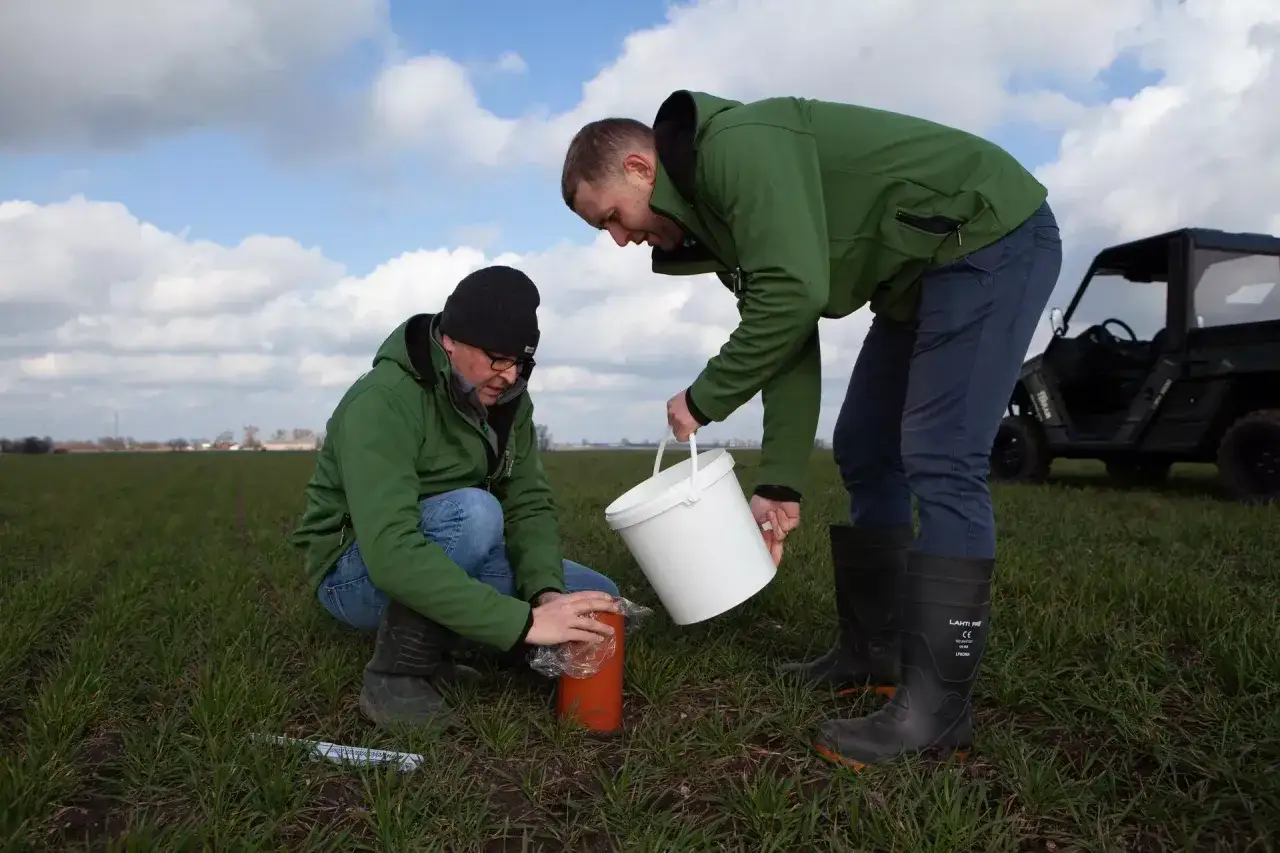 Test gleby: Sprawdź przepuszczalność i uratuj swój ogród!