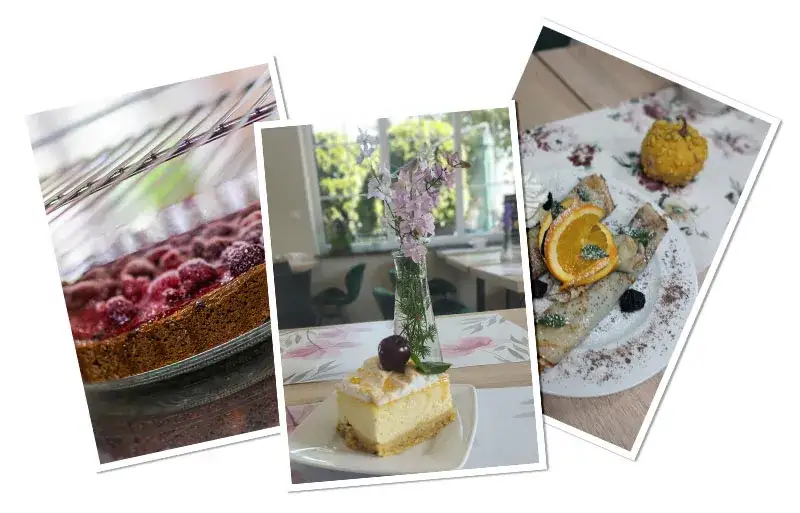 Mikoszewo gdzie zjeść - najlepsze miejsca na smaczne posiłki