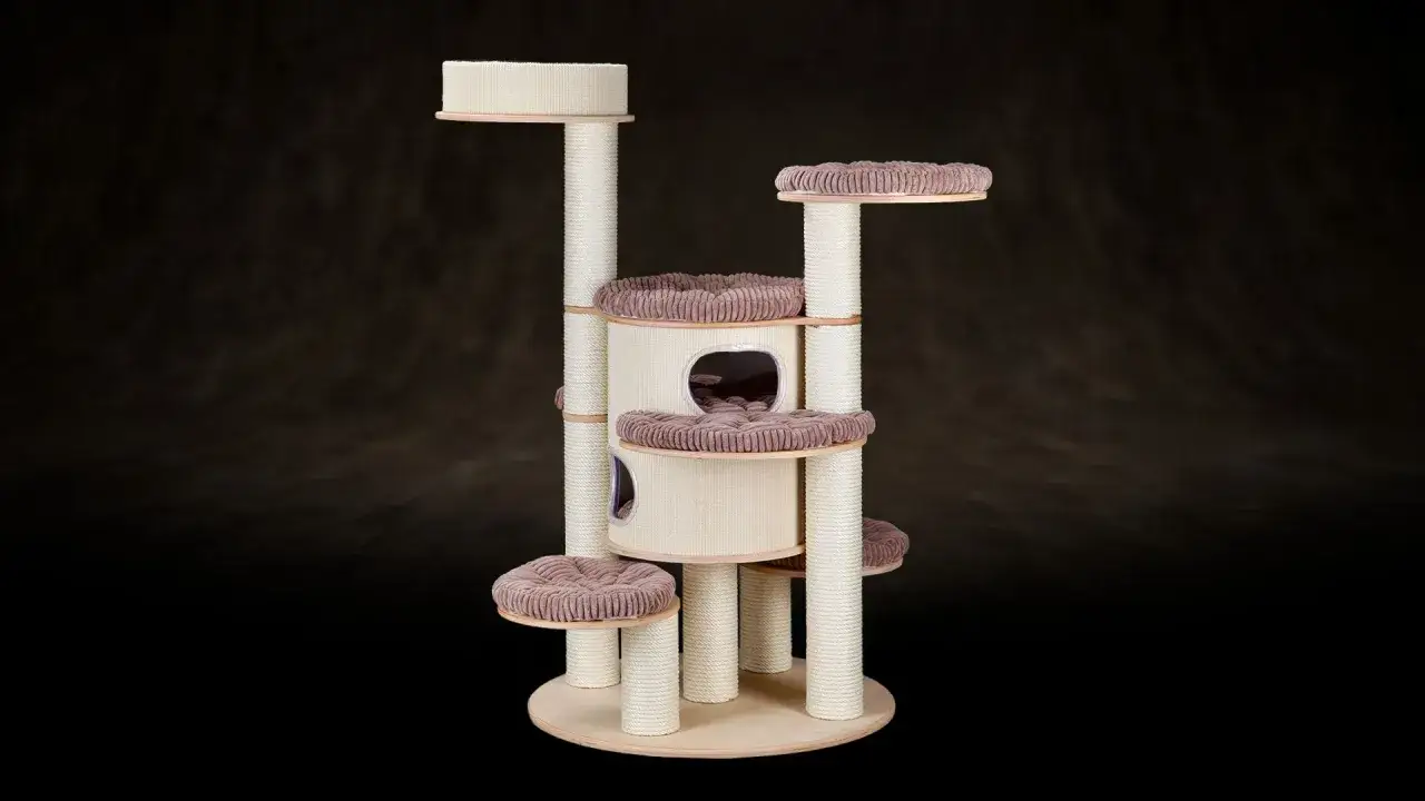 Jak zrobić plac zabaw dla kota, by zapewnić mu radość i bezpieczeństwo