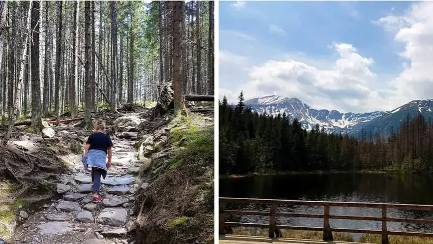 Smreczyński Staw w Dolinie Kościeliskiej: najlepsza trasa i atrakcje