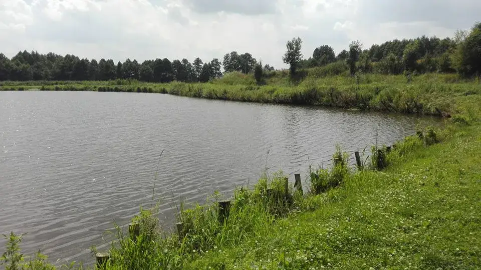 Łowisko Zawada: Idealne miejsce na wędkarską przygodę z rodziną