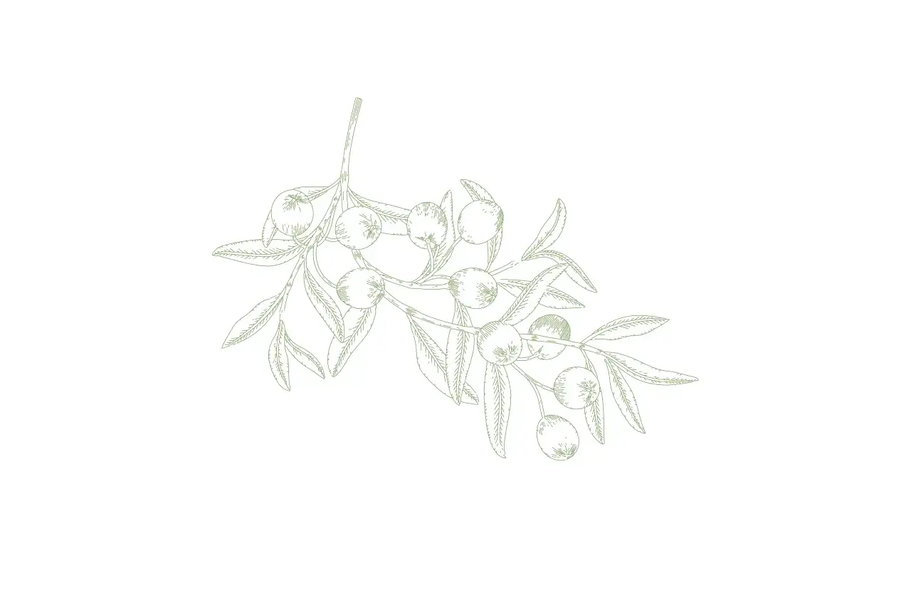 Jakie przyprawy do sałatki greckiej? Odkryj sekrety smaku tej potrawy