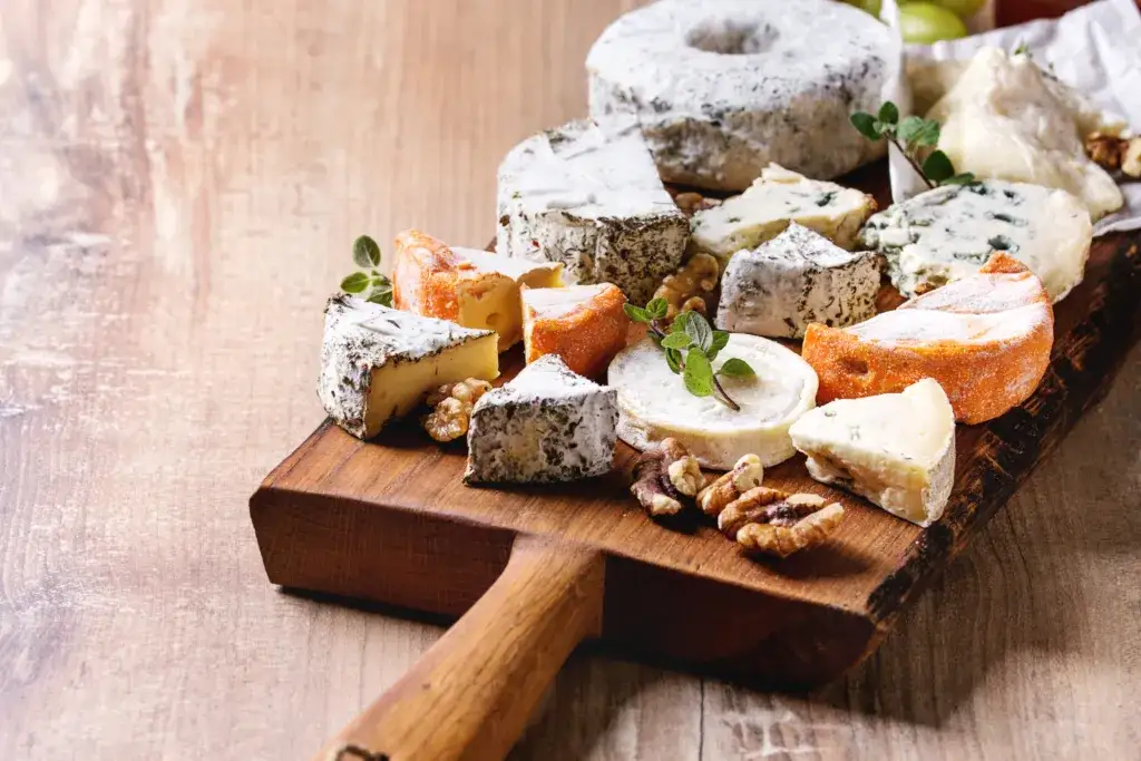 Czy pies może jeść ser? Dowiedz się, jakie sery są bezpieczne dla psa