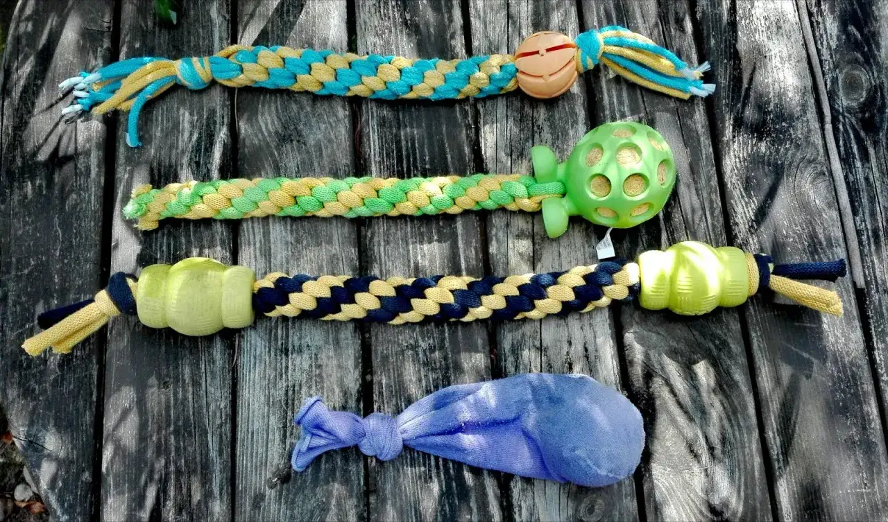 Jak zrobić szarpak dla psa? DIY krok po kroku i zasady bezpieczeństwa.