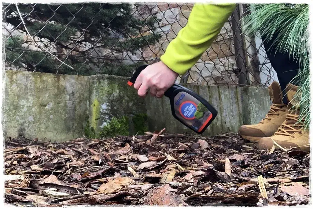 Skuteczne sposoby na usunięcie mchu z płotu betonowego w prostych krokach