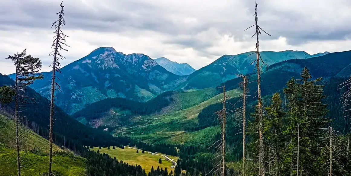 Czas przejścia Doliny Chochołowskiej: wszystko co musisz wiedzieć [2024]