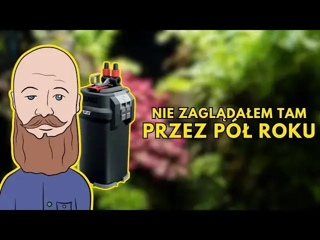 Jak czyścić filtr gąbkowy w akwarium, aby nie zabić pożytecznych bakterii