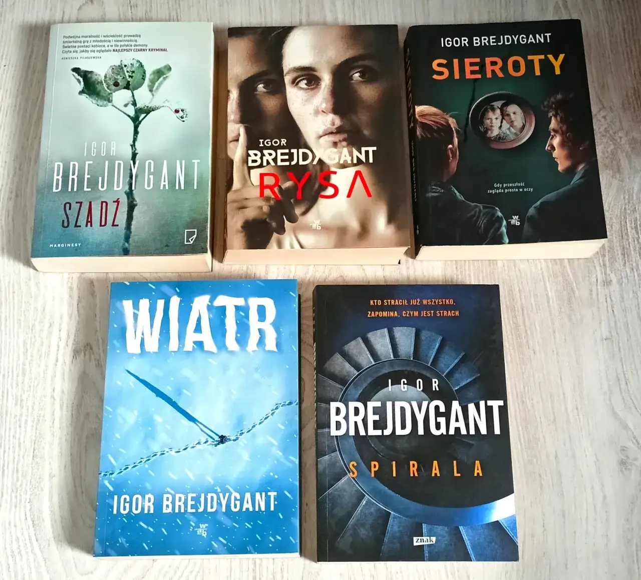 Czy książka Szadź ma części? Prawda o powieści Igora Brejdyganta