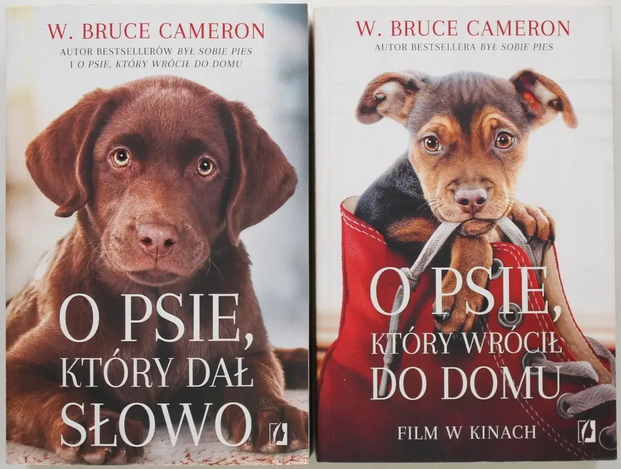 O psie który wrócił do domu książka - wzruszająca opowieść o wierności