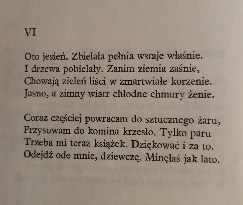 Jesienią wiersz – odkryj piękno jesieni w poezji Marii Konopnickiej