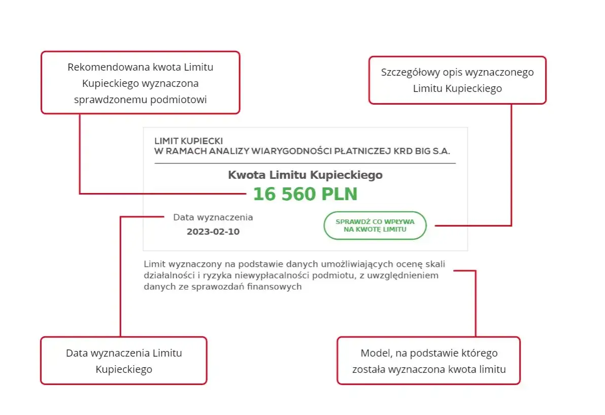 Wartości niematerialne i prawne od jakiej kwoty? Sprawdź limity!