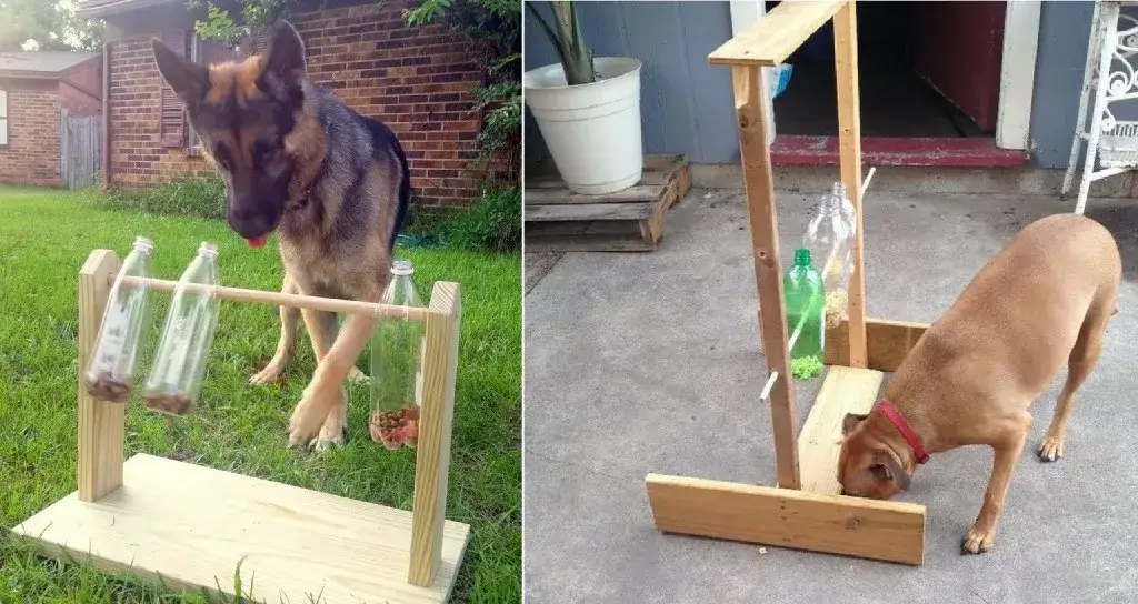 Jak zrobić zabawkę dla psa z butelki - proste i bezpieczne metody