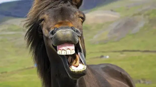 Najśmieszniejszy żart świata: Czy nauka znalazła go naprawdę?