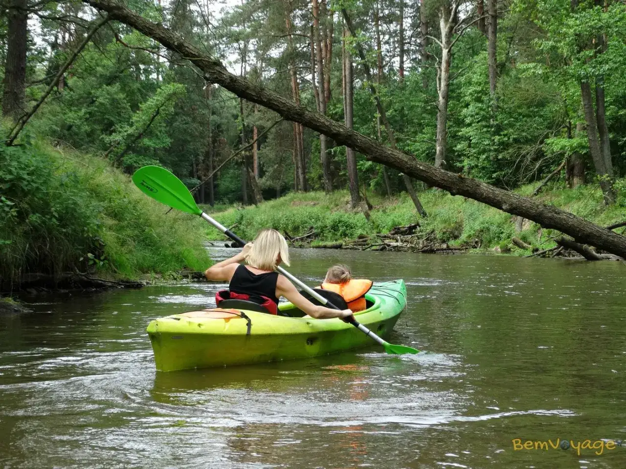 Mała Panew: Spływ kajakowy jak zaplanować? Trasy, ceny, porady
