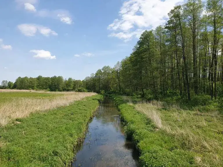 Najlepsze trasy rowerowe w Siedlcach - odkryj piękne szlaki