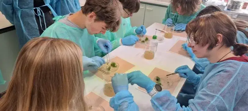 Warsztaty co to jest? Poznaj ich znaczenie i różne rodzaje