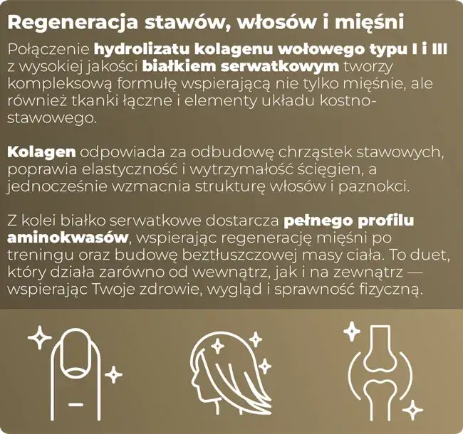 Jakie białko po treningu wspiera regenerację i budowę mięśni