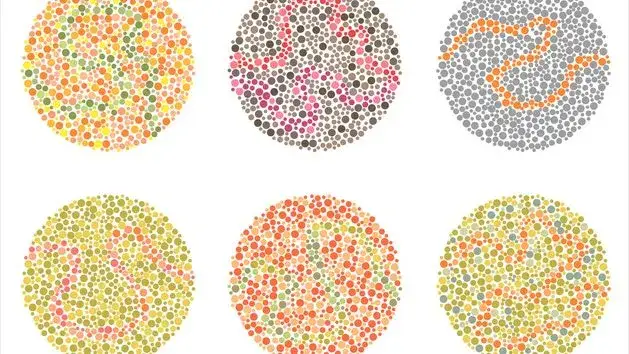 Daltonizm u dziecka: Jak rozpoznać objawy i wesprzeć malucha?