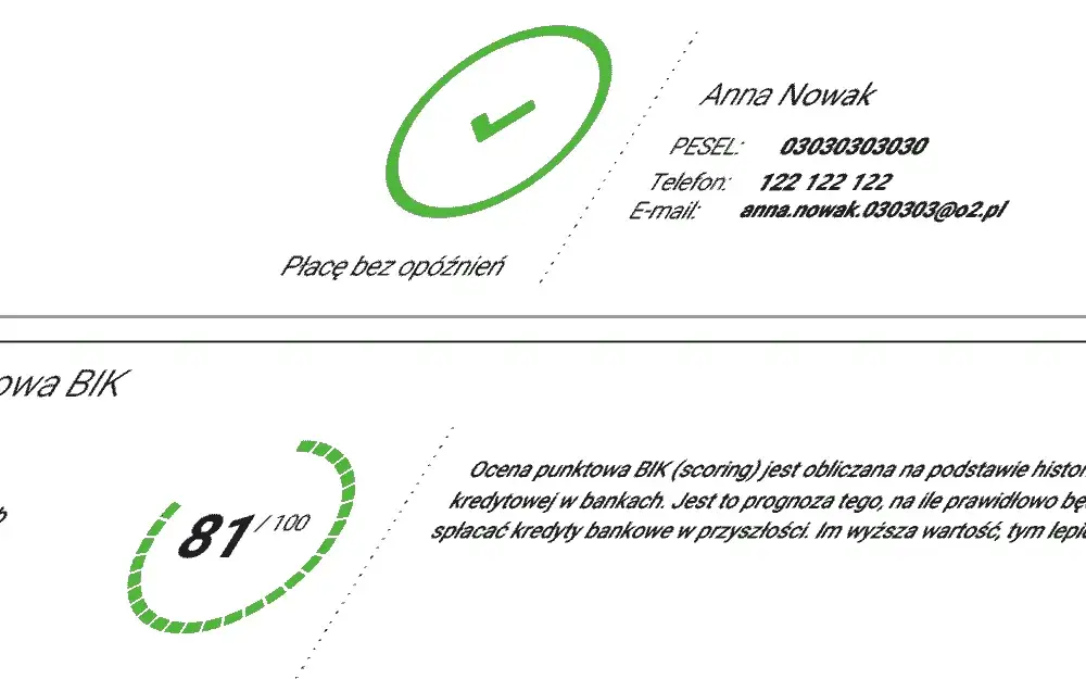 Jak sprawdzić BIK? Pobierz raport i popraw scoring poradnik